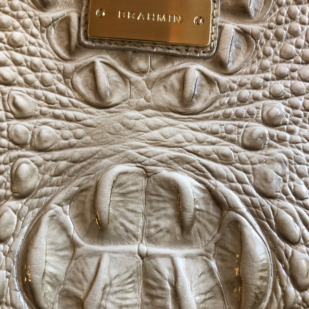 Mini Brahmin 🥂 - Picture 4 of 6